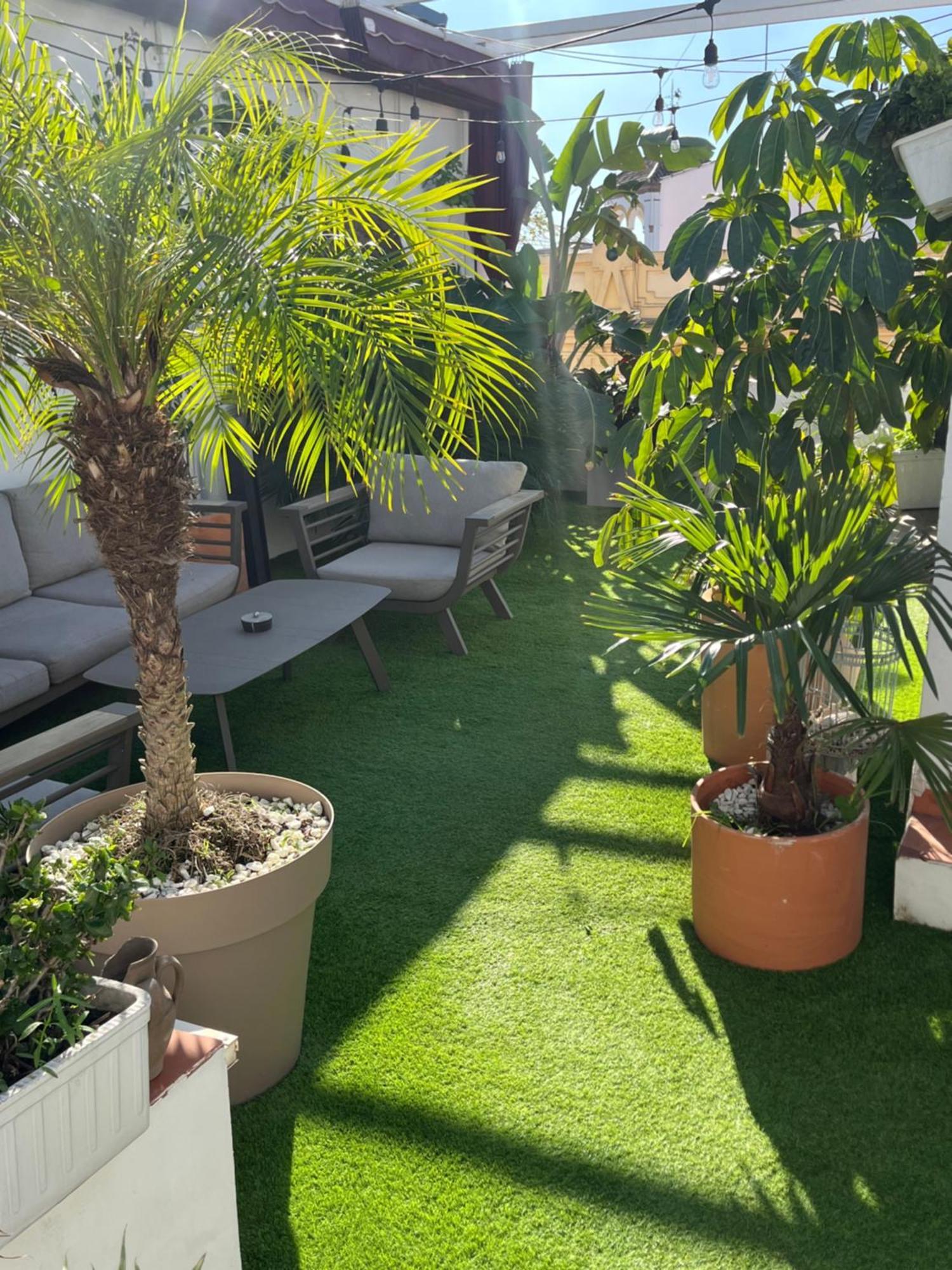 Atico Suite Con Terraza Totalmente Privada En Pleno Centro Historico De Sevilla Εξωτερικό φωτογραφία